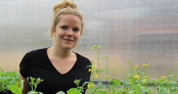 Elena Hamann surrounded by field mustard plants in the greenhouse at the Louis Calder Center
