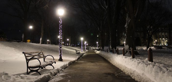 Rose Hill walkway at night in snow